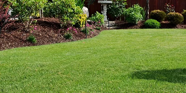 lawn